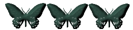 dingbutterflydarklinetr4.gif (6381 bytes)