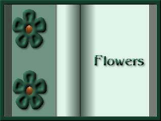 Flowers (9205 bytes)