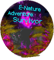 survivor globe(62171 bytes)